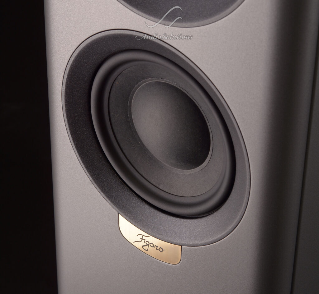 Enceinte Enceintes HiFi Audio Solutions
