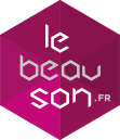 Logo Le Bon Son