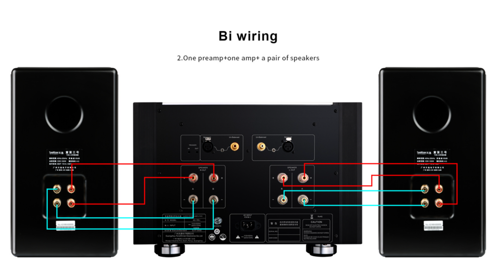 Tone Winner AD-1PA+ version Europe – amplificateur de puissance audiophile haute performance disponible chez SON HD Salon Privé.