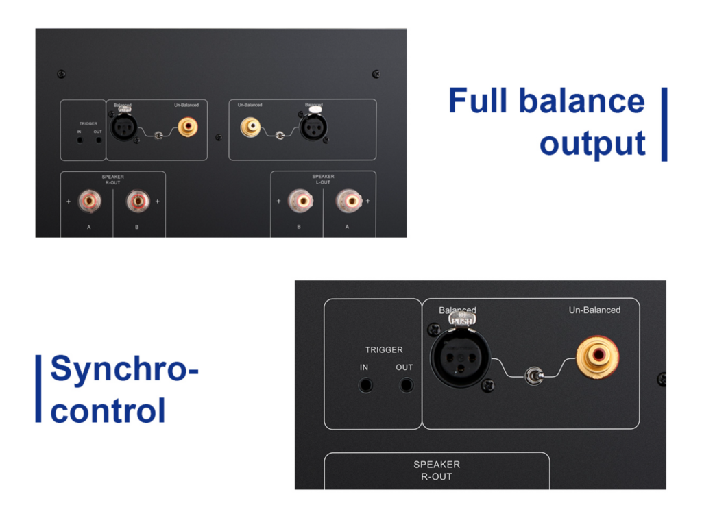 Tone Winner AD-1PA+ version Europe – amplificateur de puissance audiophile haute performance disponible chez SON HD Salon Privé.