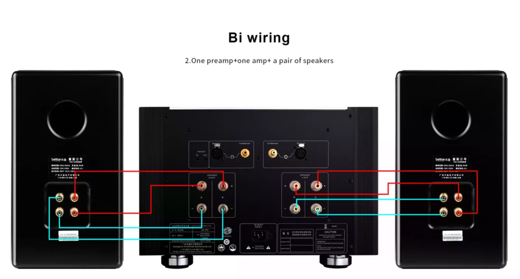 Tone Winner AD-1PA+ version Europe – amplificateur de puissance audiophile haute performance disponible chez SON HD Salon Privé.