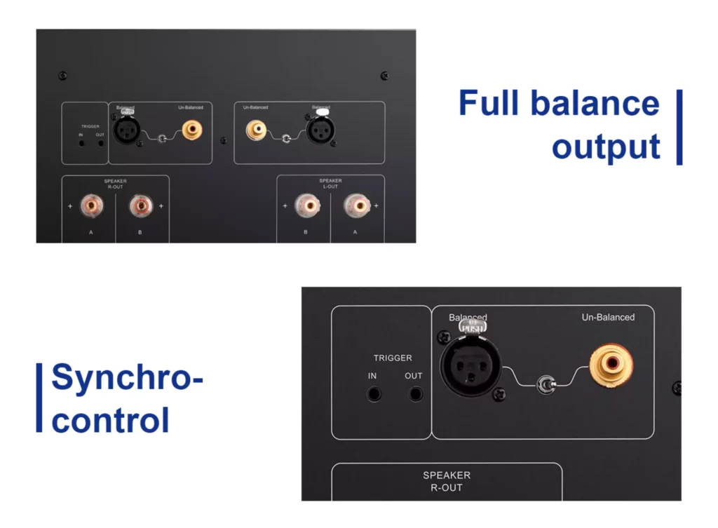 Tone Winner AD-1PA+ version Europe – amplificateur de puissance audiophile haute performance disponible chez SON HD Salon Privé.